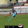 IMG_9396 (2)